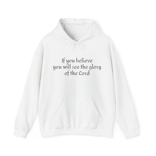 If you believe, you will see the glory of the Lord/  Heavy Blend™ Hooded Sweatshirt