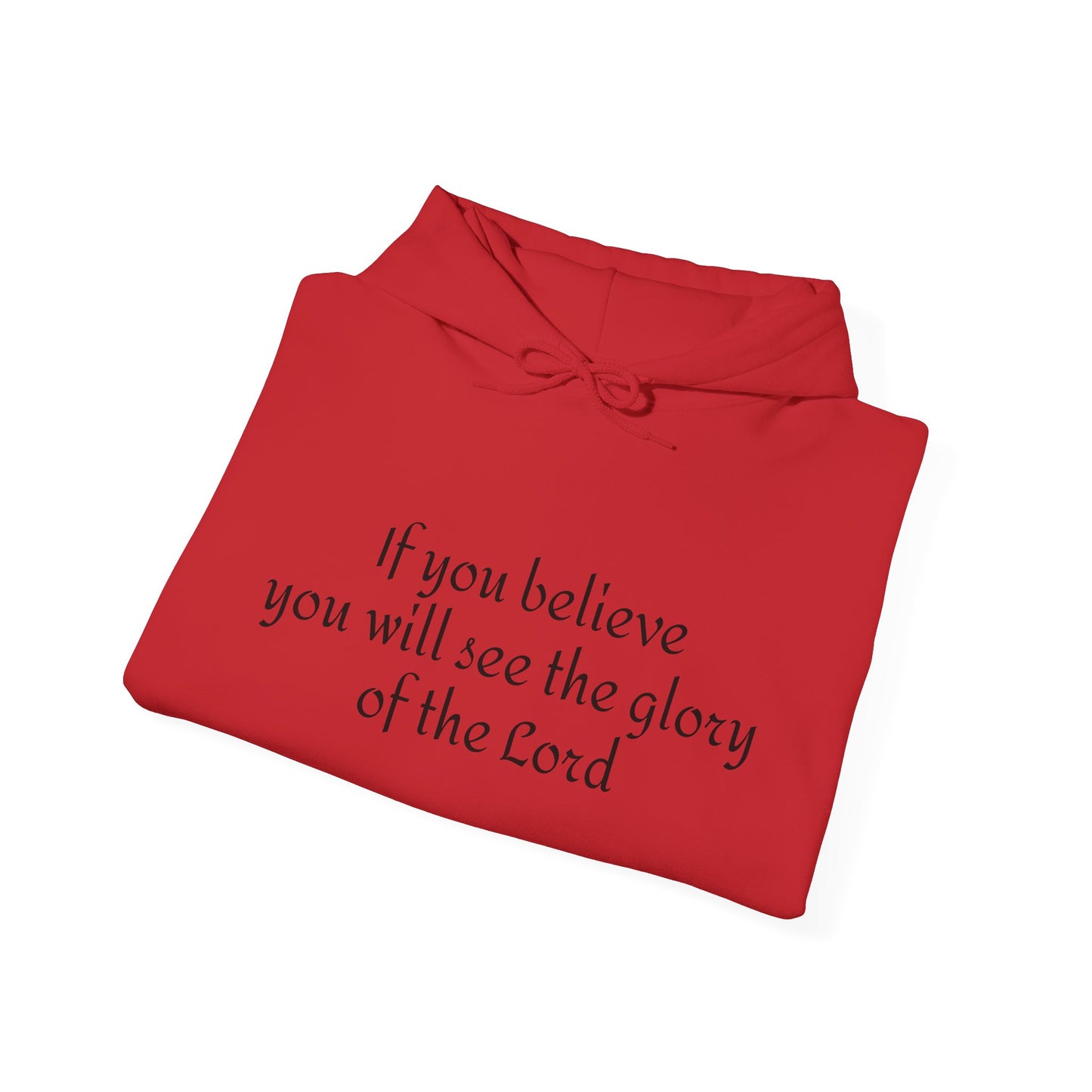 If you believe, you will see the glory of the Lord/  Heavy Blend™ Hooded Sweatshirt