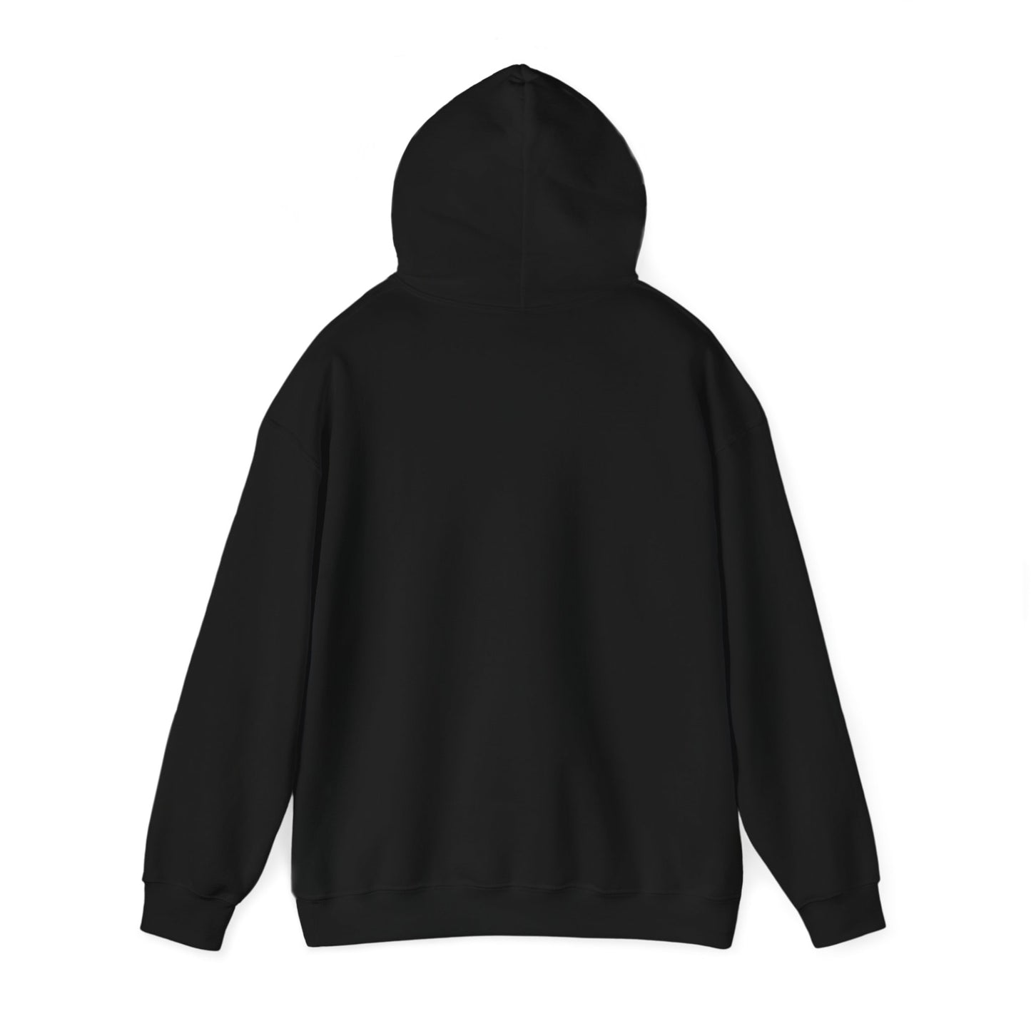 If you believe, you will see the glory of the Lord / Heavy Blend™ Hooded Sweatshirt