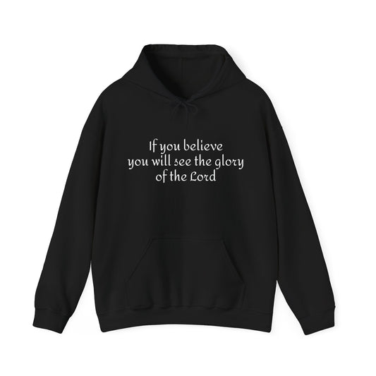 If you believe, you will see the glory of the Lord / Heavy Blend™ Hooded Sweatshirt